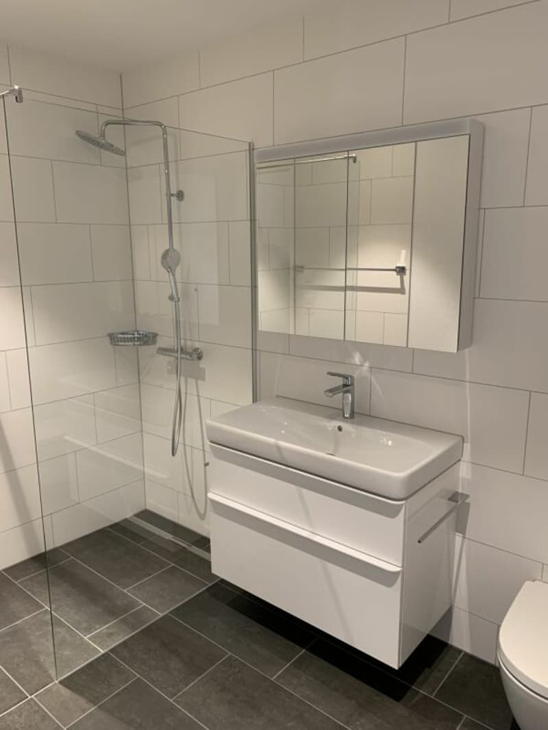 3.5 Room Apartment (5)