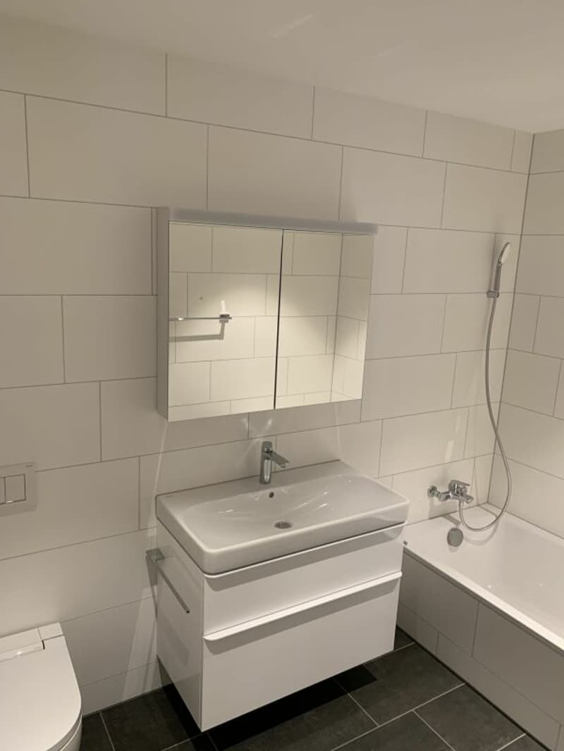 3.5 Room Apartment (6)