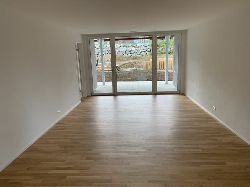 3.5 Room Apartment (2)