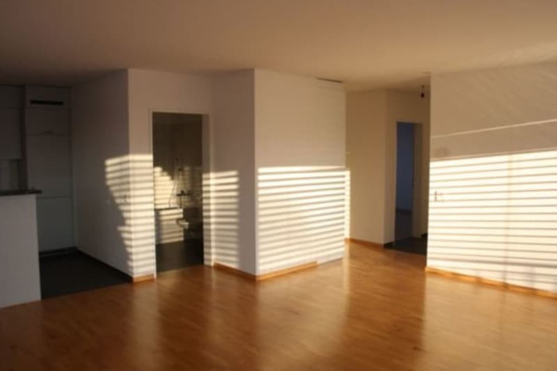 Appartement en attique de 3,5 pièces ensoleillé (4)