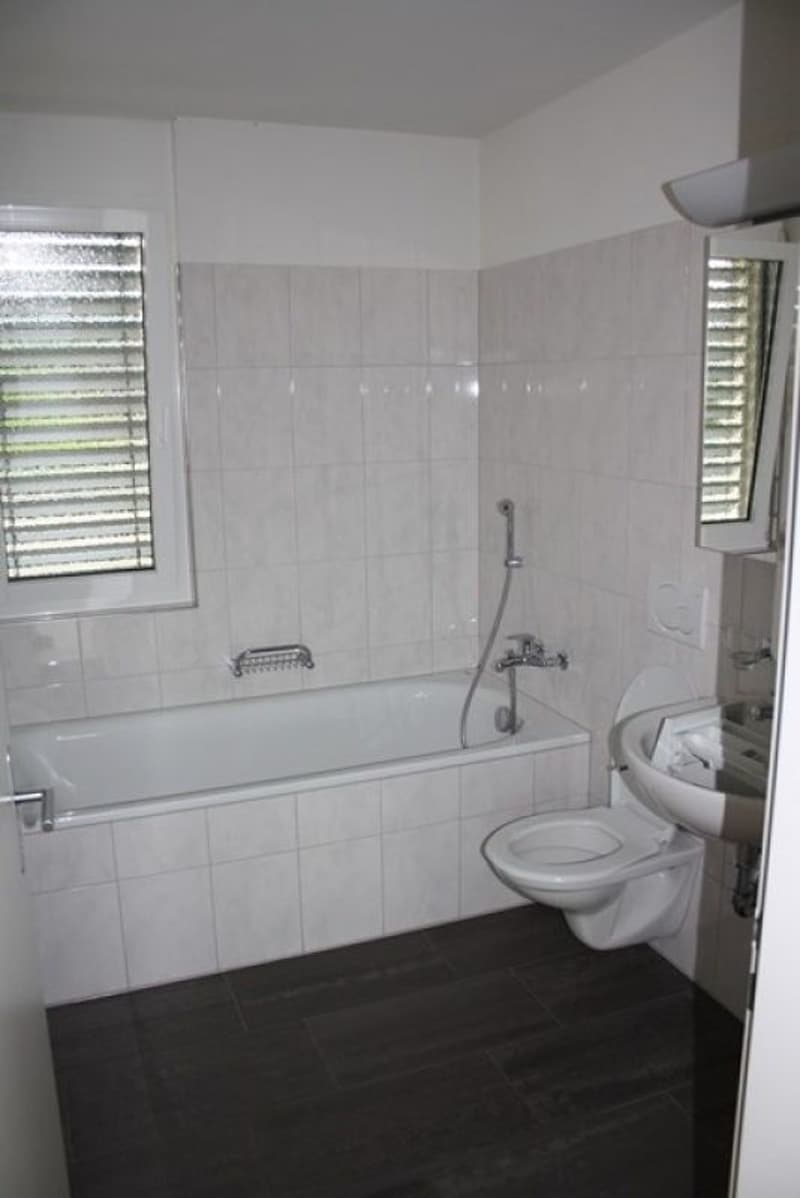 Appartement en attique de 3,5 pièces ensoleillé (10)