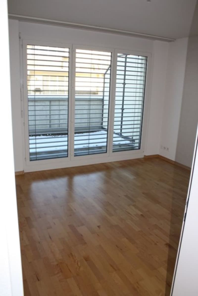 Appartement en attique de 3,5 pièces ensoleillé (6)