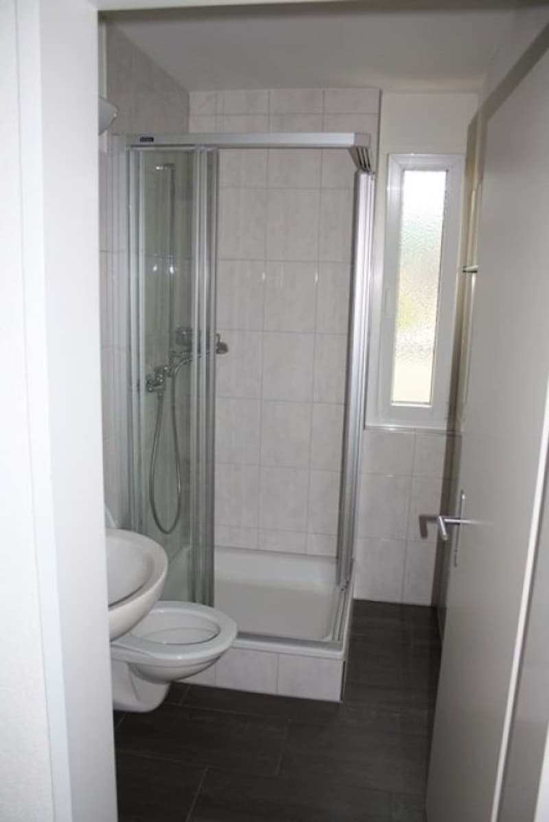 Appartement en attique de 3,5 pièces ensoleillé (11)