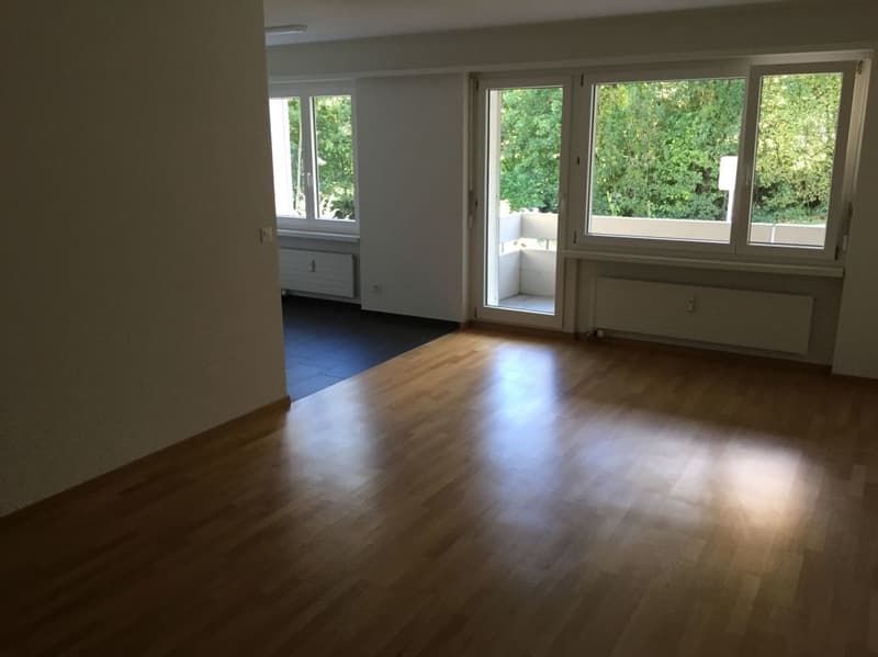 Appartement calme rénové au 2e étage (6)