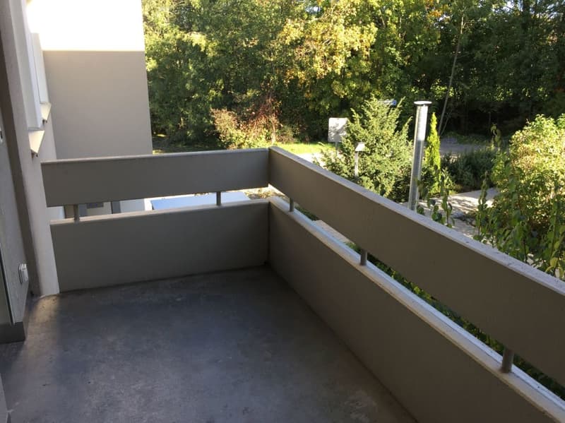 Appartement calme rénové au 2e étage (7)