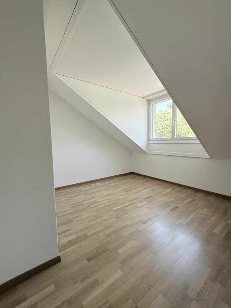 Sonnige 4.5-Zimmer-Dachwohnung mit Eigentumswohnungsstandard (10)