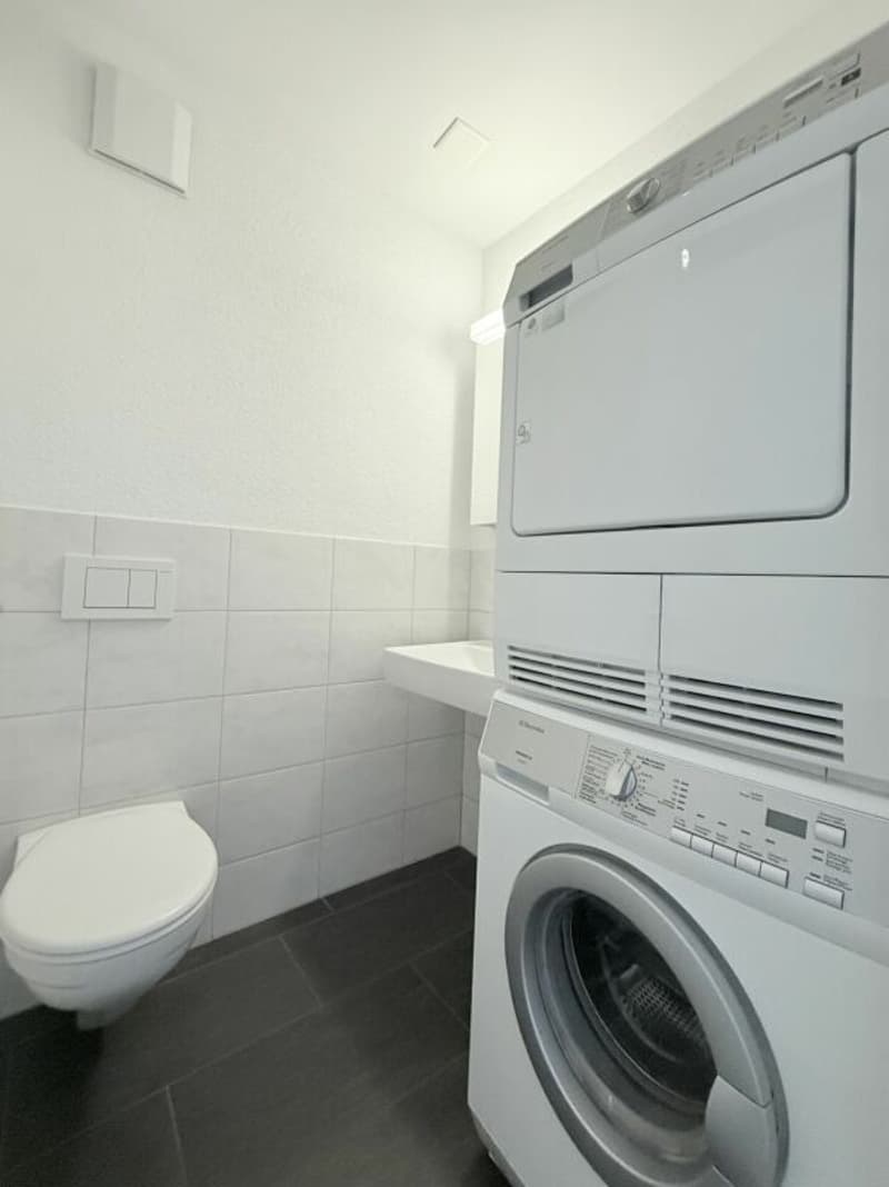 Sonnige 4.5-Zimmer-Dachwohnung mit Eigentumswohnungsstandard (18)