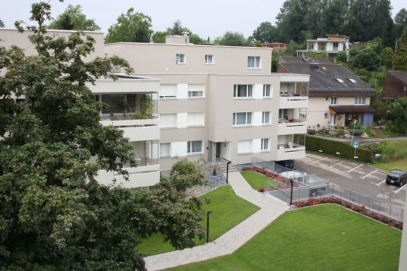 Sonnige, neu renovierte Wohnung (2)