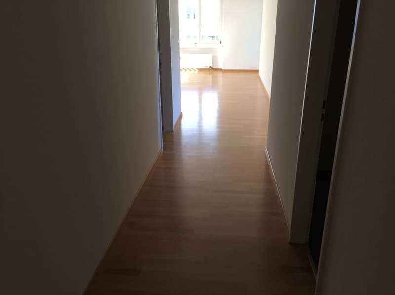Sonnige, neu renovierte Wohnung (7)