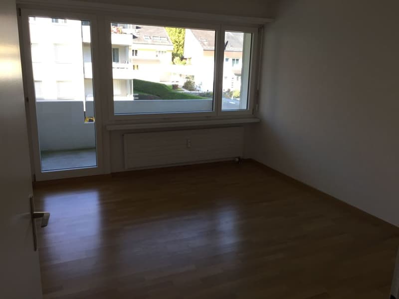 Sonnige, neu renovierte Wohnung (6)