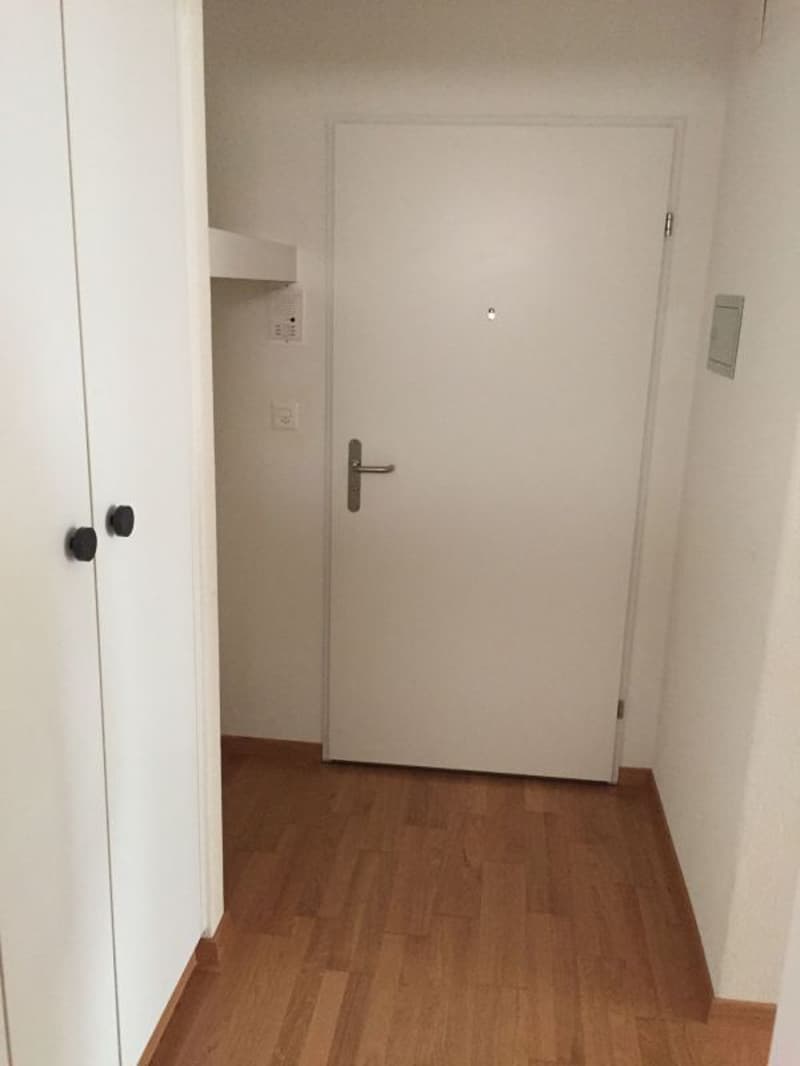 Sonnige, neu renovierte Wohnung (4)