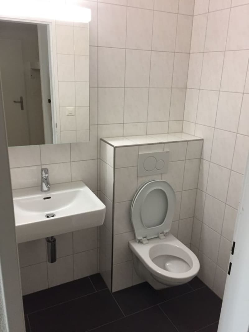 Sonnige, neu renovierte Wohnung (12)