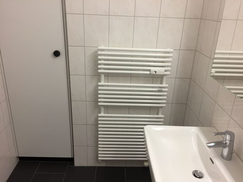 Sonnige, neu renovierte Wohnung (11)