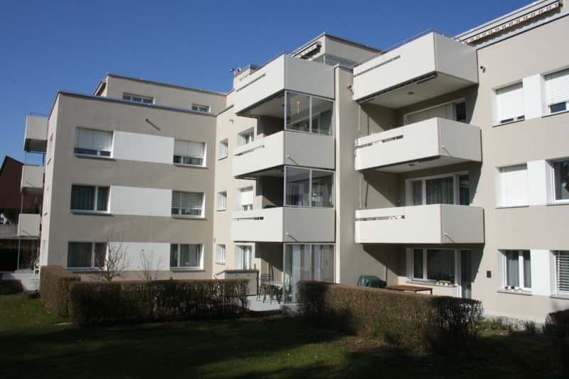 Sonnige, neu renovierte Wohnung (1)