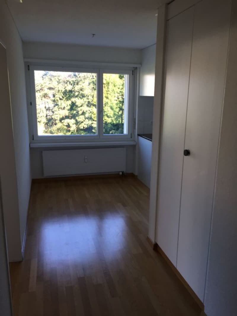 Sonnige, neu renovierte Wohnung (8)