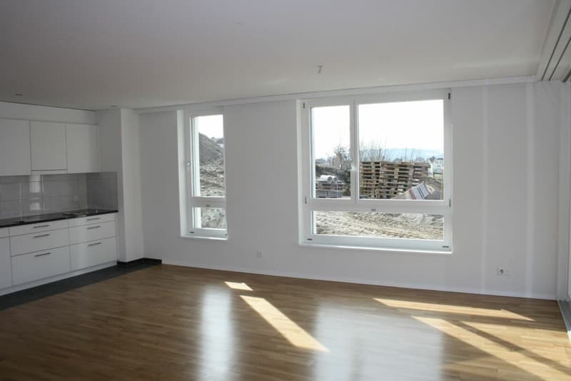 Moderne 2 Zimmerwohnung (5)