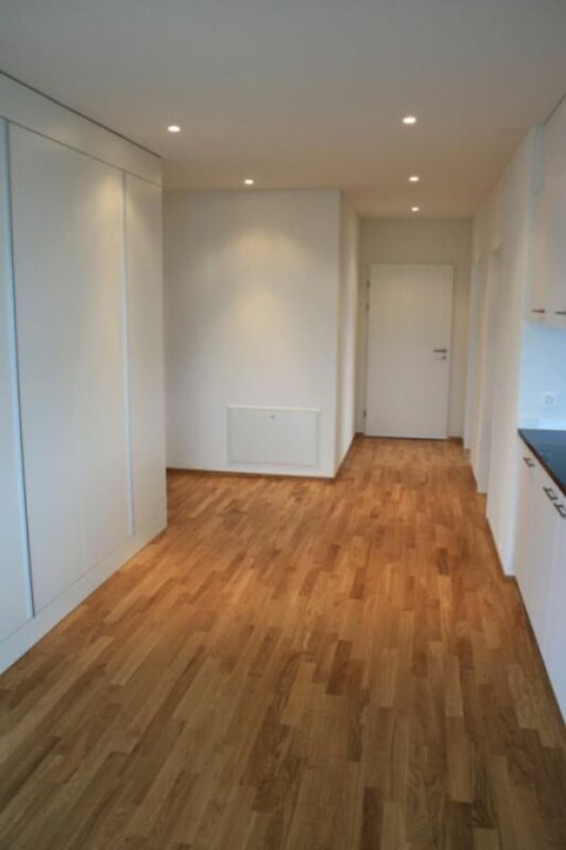 Sonnige und ruhige 3,5 Zimmer-Attikawohnung (2)