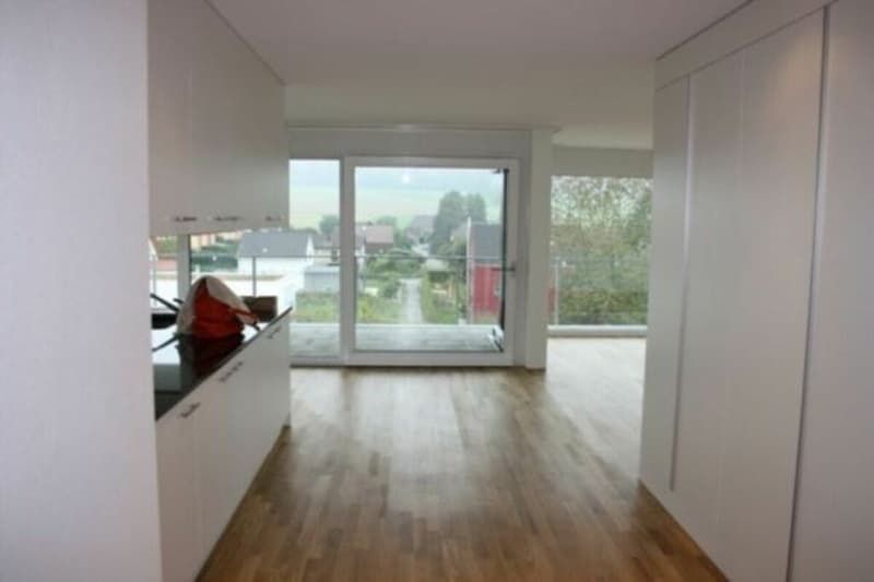 Sonnige und ruhige 3,5 Zimmer-Attikawohnung (3)