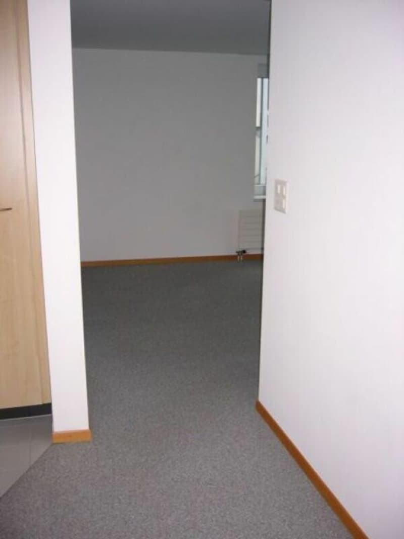 2.5 Zimmerwohnung im Hochparterre im Heiligkreuzquartier (4)