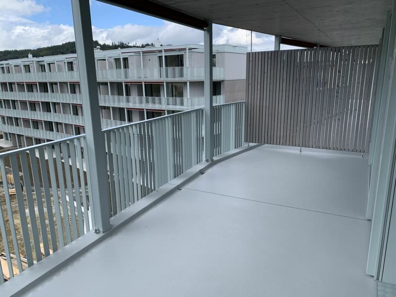 3,5 Zimmer-Wohnung - Nachmieter gesucht (2)