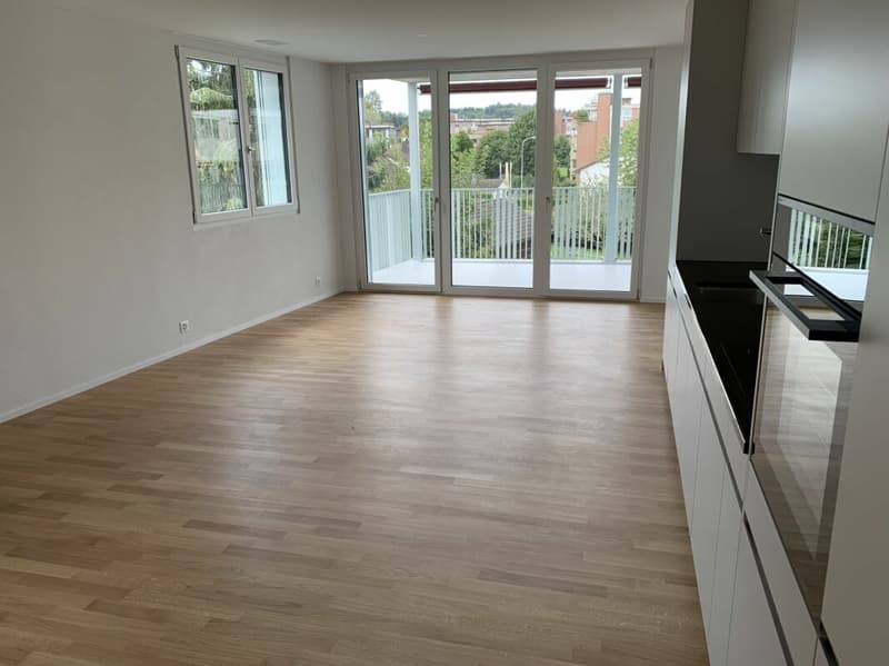 3,5 Zimmer-Wohnung - Nachmieter gesucht (4)