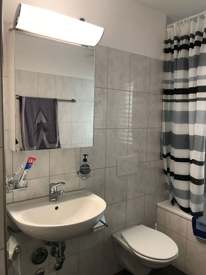 Ruhige 2.5-Zimmer-Parterrewohnung - Nachmieter gesucht (9)