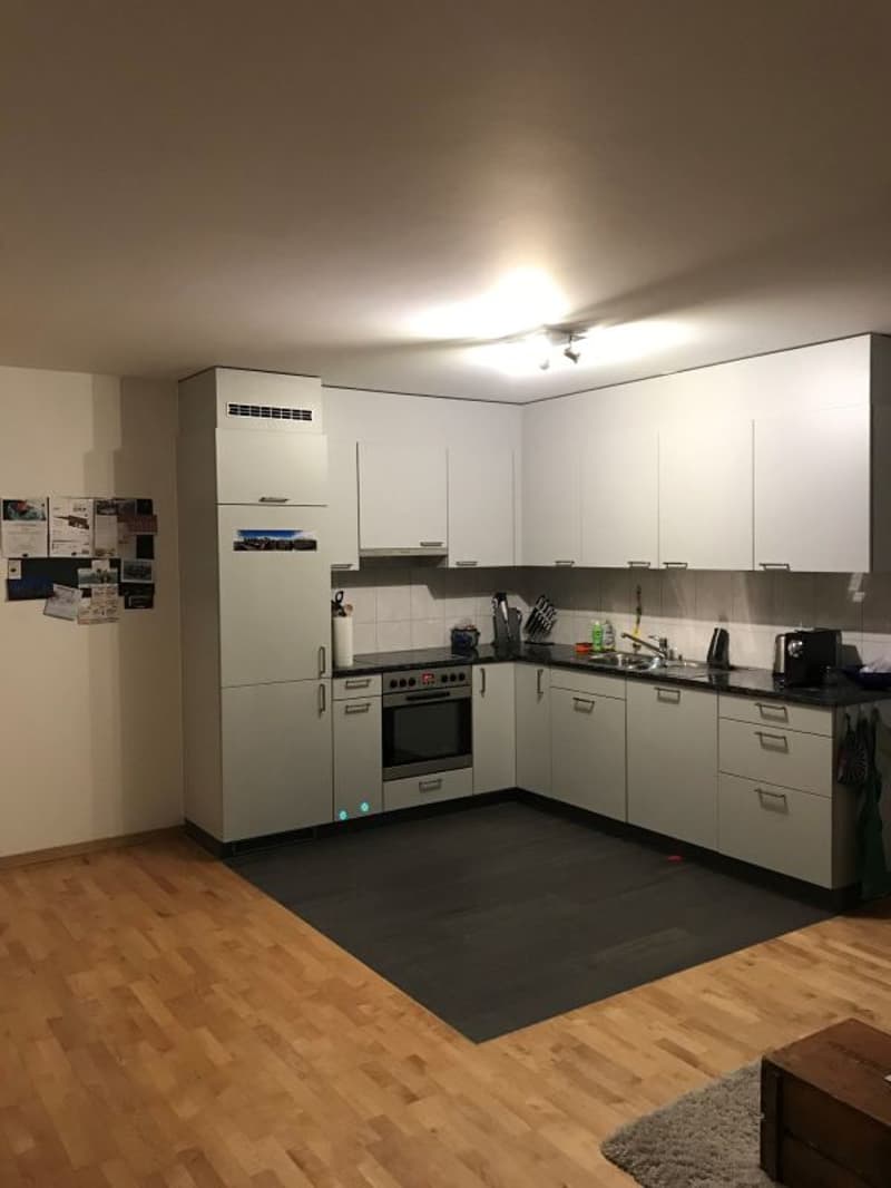 Ruhige 2.5-Zimmer-Parterrewohnung - Nachmieter gesucht (4)