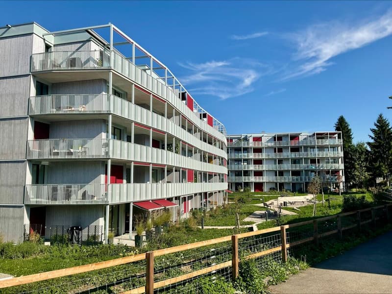 3.5-Zimmer-Wohnung (3)