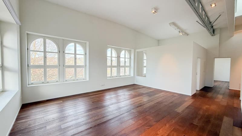 Fantastic attic LOFT in a historic building - a gem awaits you! (1)