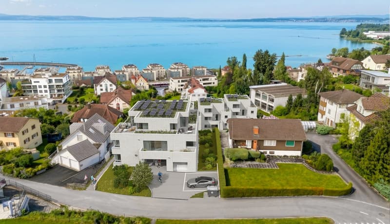 Luxurious 5 1/2-room apartment experience with panoramic lake view (5)