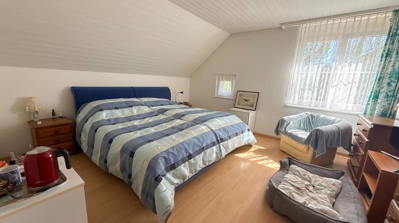 Grand 6.5-room semi-detached house with idyllic plot (8)