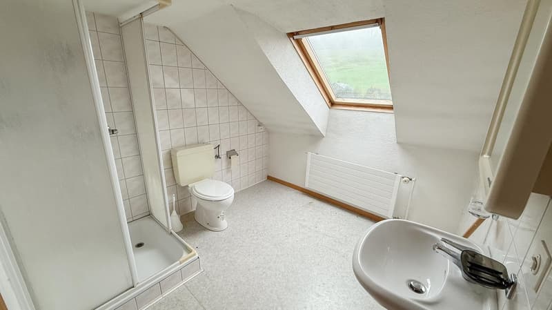 3 appartements dans 2 maisons à un PRIX SPÉCIAL (8)