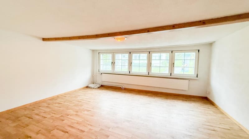 3 appartements dans 2 maisons à un PRIX SPÉCIAL (7)
