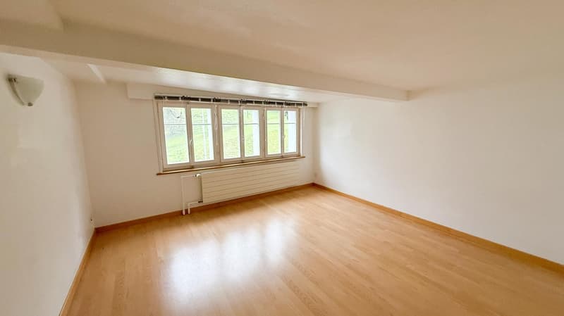 3 appartements dans 2 maisons à un PRIX SPÉCIAL (9)
