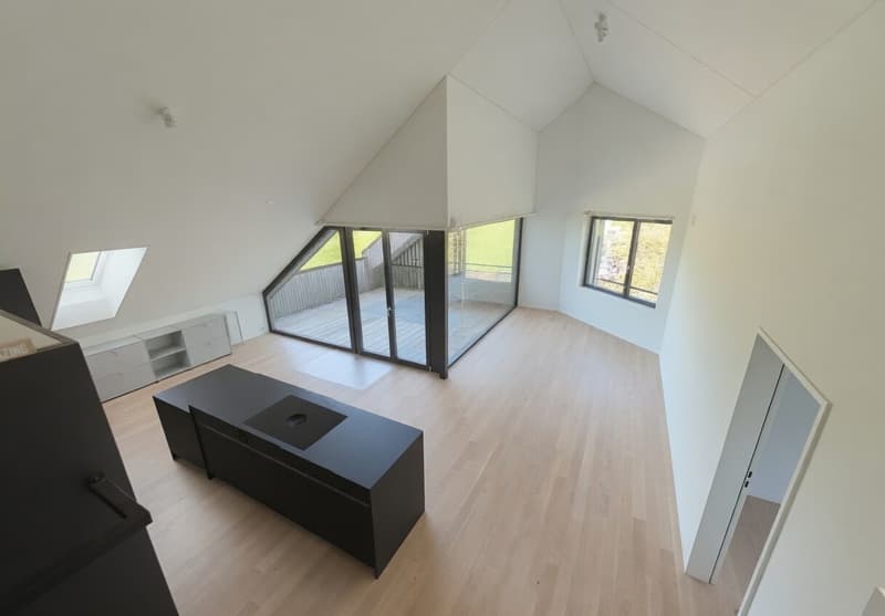 Bright 3.5-room attic pearl with sensational ceiling height and terrace (1)