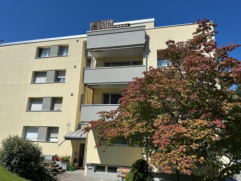 Charmant appartement en attique 2½ pièces avec grande terrasse & vue panoramique à Grub AR (1)