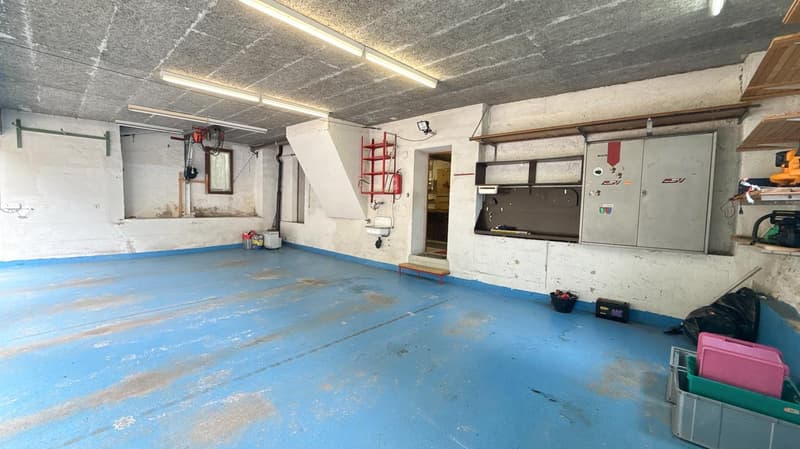 Spannendes Zweifamilienhaus mit 4 Garagenplätzen - Preis bankengeprüft! (18)