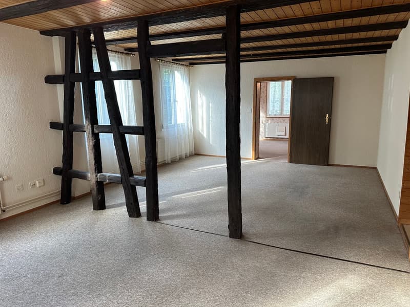 Spannendes Zweifamilienhaus mit 4 Garagenplätzen - Preis bankengeprüft! (20)