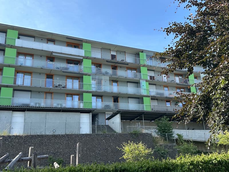 traumhaft schöne 4 1/2 Zi. Stadtwhg.mit 2 Balkons & Weitsicht (8)
