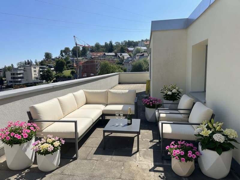 Traumhafte 2½-Zimmer-Attikawohnung in Grub AR – grosse Terrasse & Weitsicht (4)