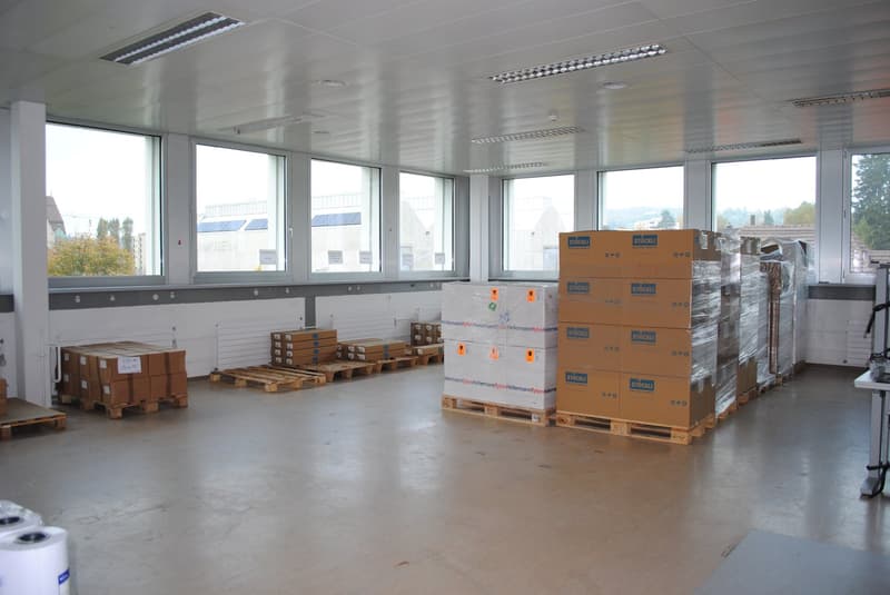 512 m2 Atelier / Büro / Produktionsfläche / Werkstatt in SG-Ost (2)