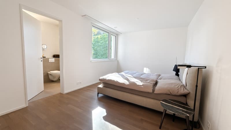 Ein Diamant wartet auf Sie ! 3½-Zimmer-Wohnung mit SEE Sicht (9)