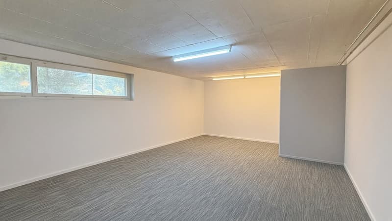 Atelier / Hobbyraum / Werkstatt / Büroraum in St. Gallen zu kaufen (6)