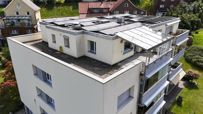 Lichtdurchflutete 2½-Zimmer-Dachwohnung mit 60 m2 Terrasse & Weitsicht (1)
