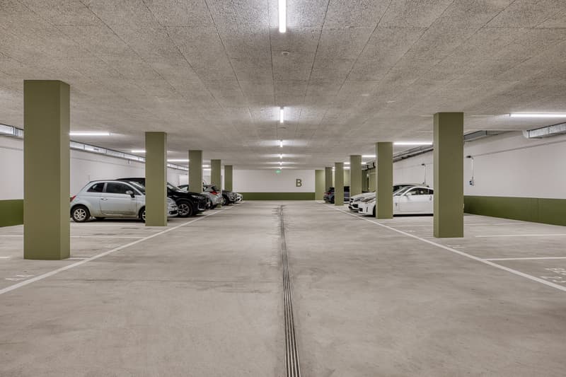 Moderne Parkplätze & Disponibel-Räume zu vermieten (2)