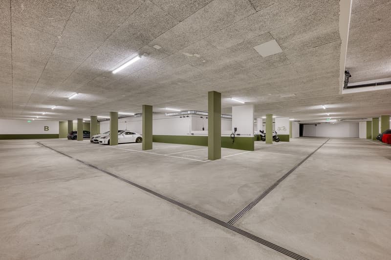 Moderne Parkplätze & Disponibel-Räume zu vermieten (1)