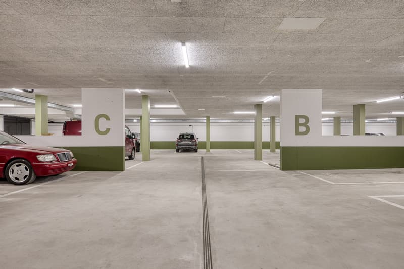 Moderne Disponibel-Räume & Parkplätze zu vermieten (4)