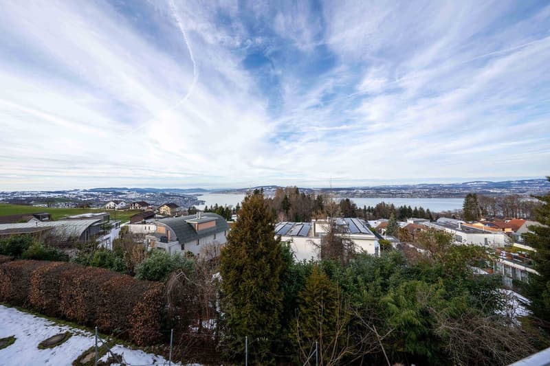 7.5-room single-family house with fantastic lake view in Feusisberg (9)
