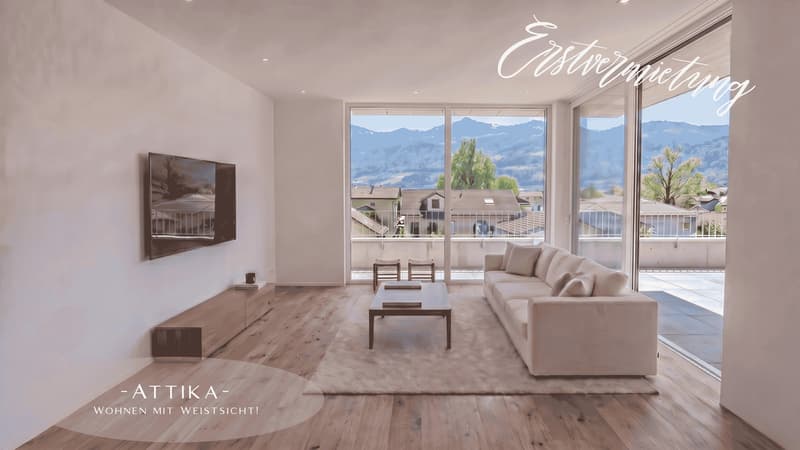 First-time rental: exclusive 4.5-room attic apartments with spacious terraces (1)