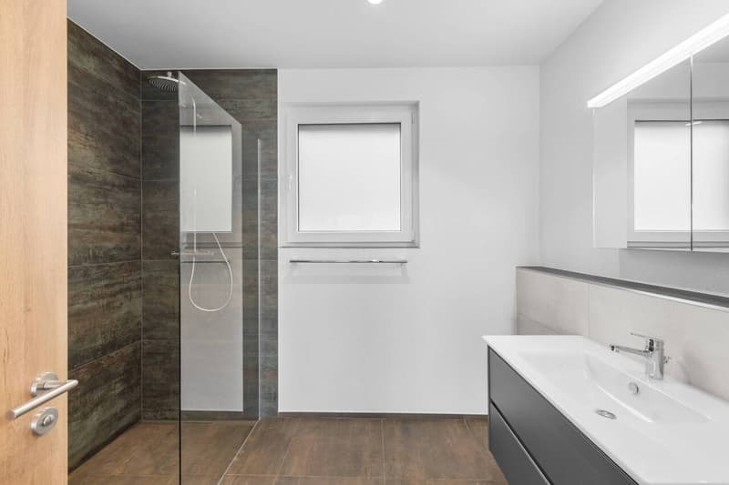 Grossraum - Luxuswohnung mit Weitsicht! (11)